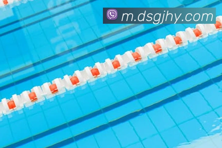 东升国际发展历程