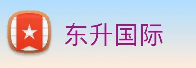 东升国际 logo